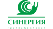 Синергия, Группа компаний