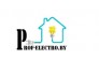 Prof-electro by